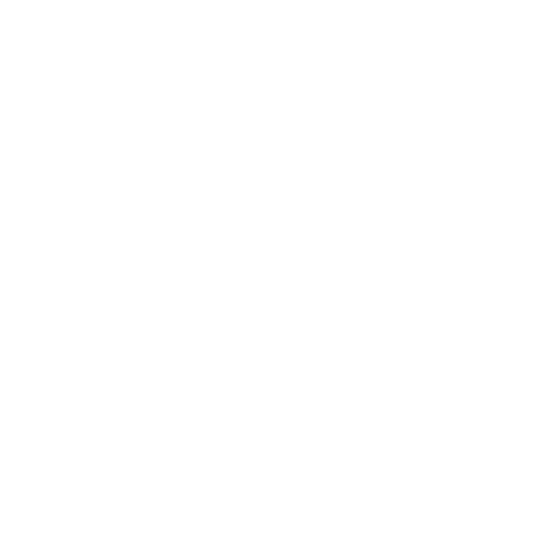 Secartys copia 1